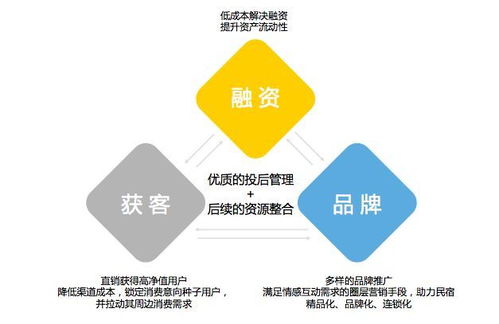 消费升级下营地如何通过金融产品与咨询服务提升影响力
