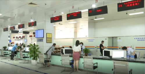 北海深入贯彻落实“十六字”工作方针，以专业咨询服务驱动经济社会迈上新台阶